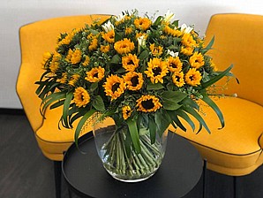 ����� ����� ��� ����