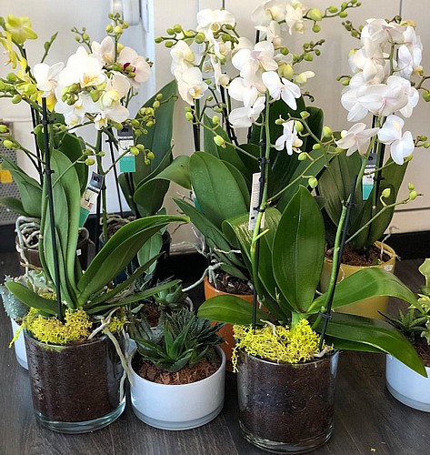 ����� ����  ����