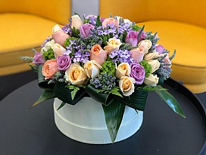 פלוואר בוקס הרמוניה פלוואר בוקס הרמוניה