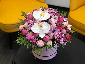 FLOWER BOX AVELANZE
