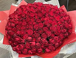 300 ����� ������