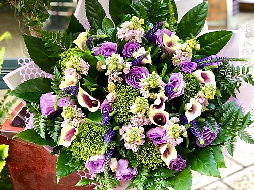 PURE PURPLE