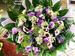 PURE PURPLE PURE PURPLE
