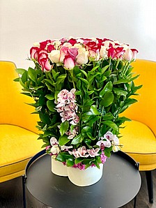 PREMIUM PINK ROSES
