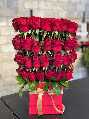 PREMIUM RED ROSES