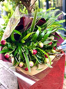 PEONIES IN LOVE PEONIES IN LOVE