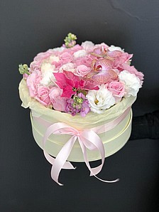 PASTEL PREMIUM