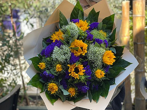 CLASSIC SUNFLOWERS 