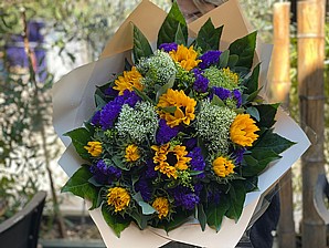 CLASSIC SUNFLOWERS 