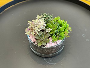 ������� ��������� ���� ����� ����� 