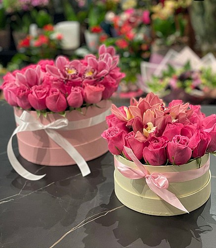 THE LADY IN PINK 