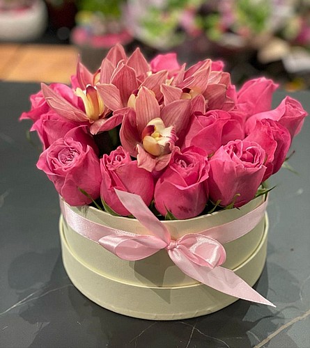 THE LADY IN PINK 
