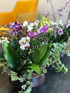 ����� ���� ������� �����