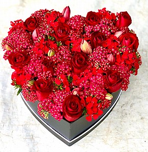 RED ROMANCE