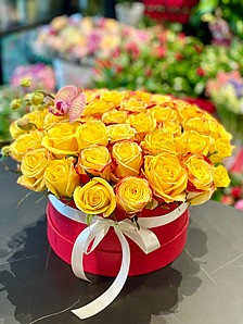 YELLOW ROMANCE YELLOW ROMANCE