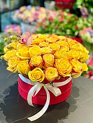 YELLOW ROMANCE