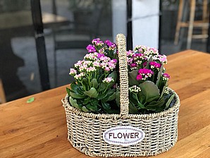 ������ ����� ����� ������