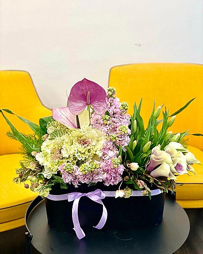 SPECIAL PURPLE