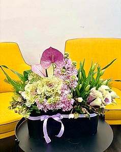 SPECIAL PURPLE
