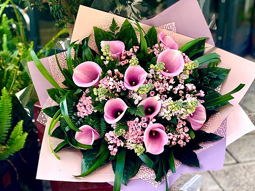 PINK DREAM